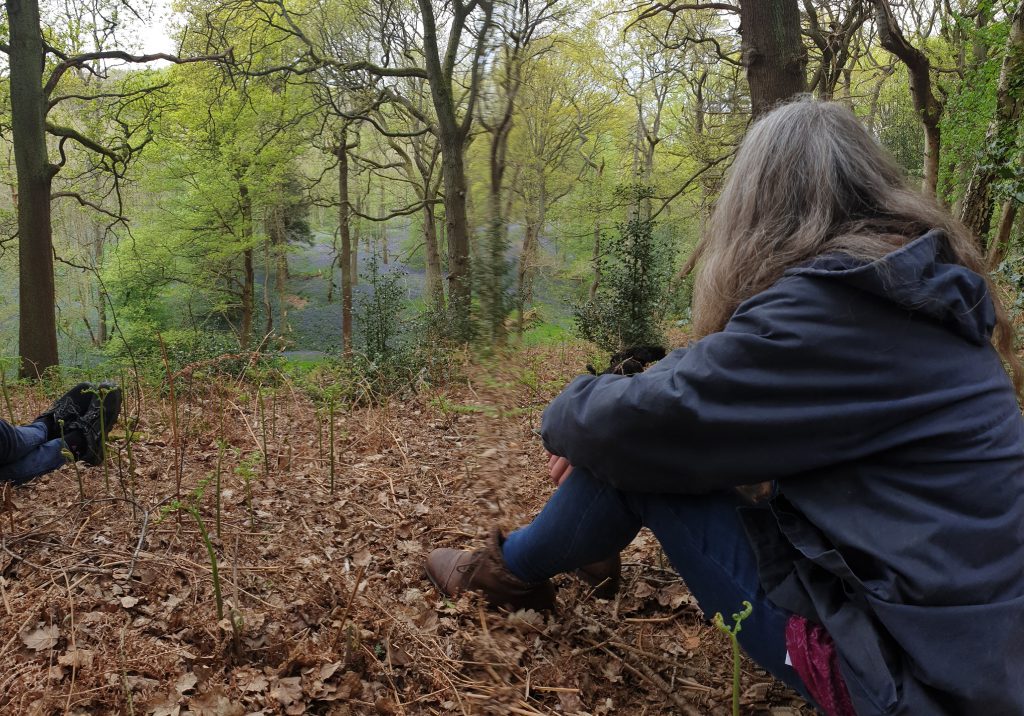 Mixed media artist Anita Daffern basking in the beautiful local woodlands. 